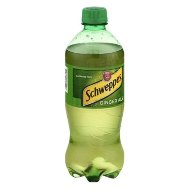 Ginger Ale 20 OZ.
